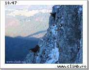 View balaur-ziua cristi-029